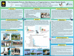 The Complete Picture: Bird Behavior on Fragmented vs. Intact Oyster Reefs