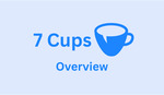7Cups Culture Audit Plan