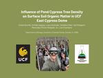 Influence of Pond Cypress Tree Density on Surface Soil Organic Matter in UCF East Cypress Dome