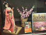 Sakura Hanami, Exhibit Photograph 2