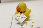 STARS tag for ducks