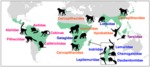 Distribution of Living Primates in a Wide Range of Environments by Lana Williams
