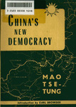 China's new democracy