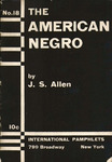 The American Negro by James Stewart Allen
