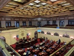 Legislative Session in a Government Chamber Showcasing Democracy in Action by Maria Grisales