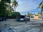 Chickens Roam Freely Near a Rustic Shelter in a Quiet Puerto Rican Village at Sunset, Capturing the Essence of Island Life 2 by Wendy Howard