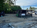 Chickens Roam Freely Near a Rustic Shelter in a Quiet Puerto Rican Village at Sunset, Capturing the Essence of Island Life 3 by Wendy Howard