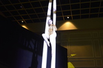 Acrobats on Silks 4 by Rosen College of Hospitality Management