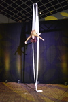 Acrobats on Silks 8 by Rosen College of Hospitality Management
