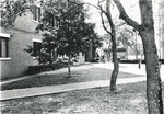 Dormitories - Libra Community - Seminole Hall behind trees